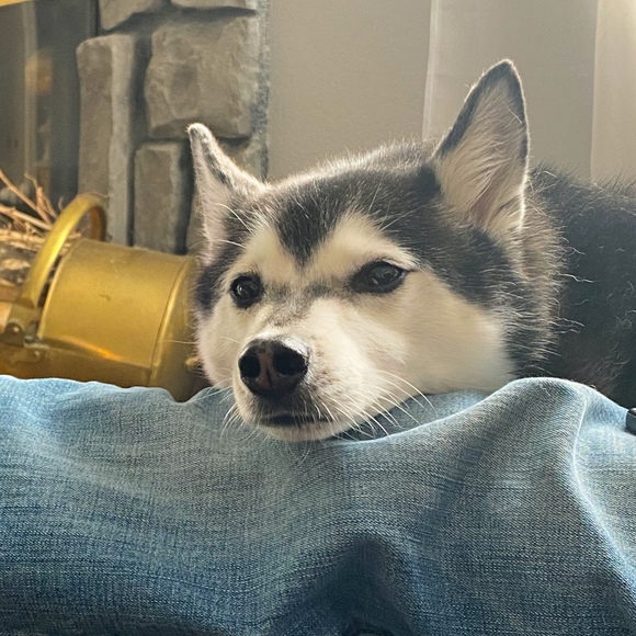 Meet your Posher, Jennifer - Picture 1 of 1